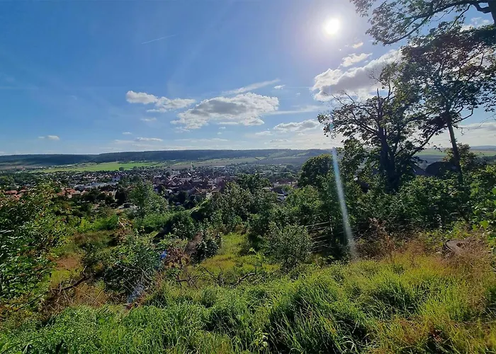 Frankenhausen Daire Bad Frankenhausen